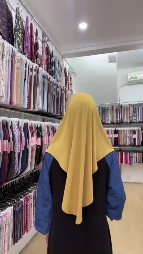 Hegira Hijab Inspired So-Alexa Instant Collection (5TB)